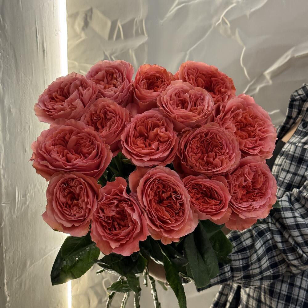 Пионовидные розы